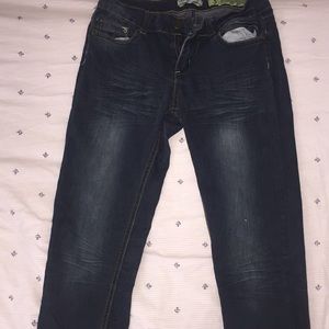 Indigo Rein Jeggings